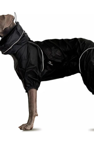 Waterproof dog jacket easy to wear comfortable for free exploring
