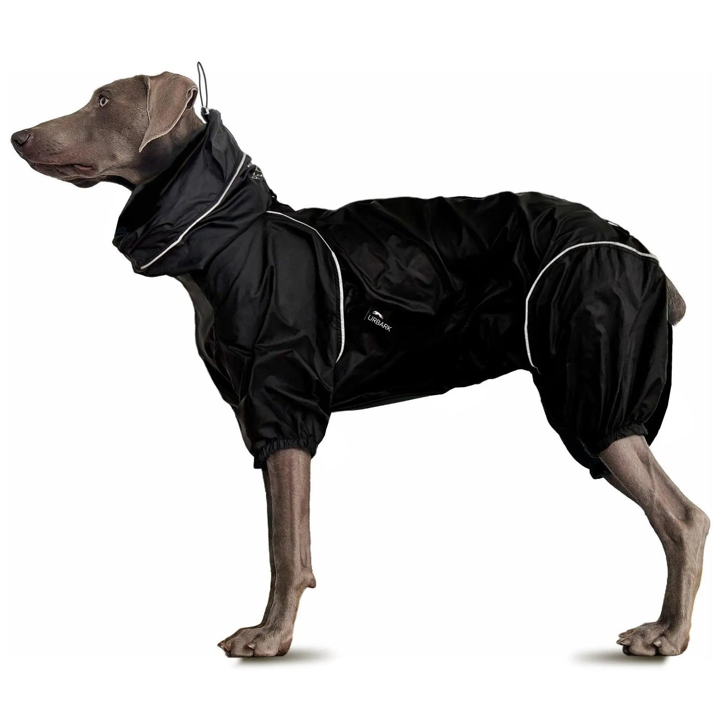 Waterproof dog jacket easy to wear comfortable for free exploring