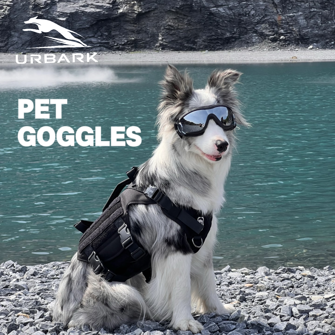 URBARK WINDPROOF PET GOGGLES - Image 5