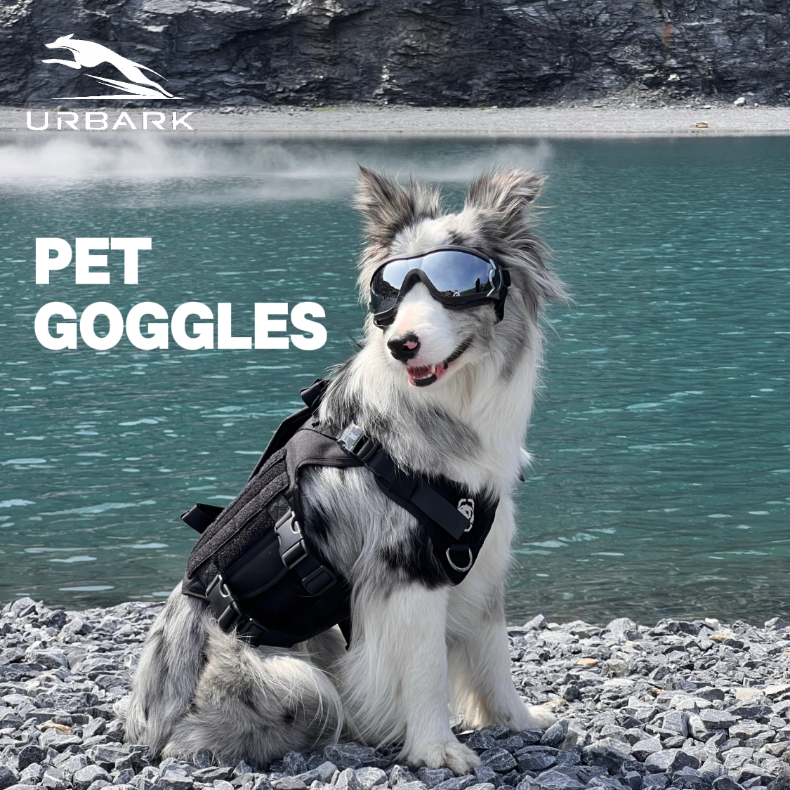 URBARK WINDPROOF PET GOGGLES - Image 6