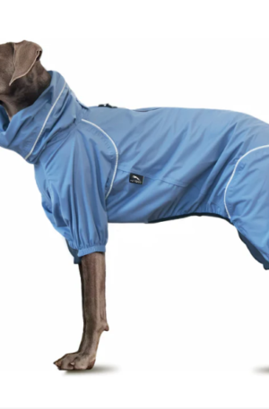 Dog Breathable Raincoat With Legs -Silence of Mist
