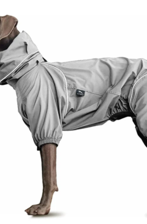 Lightweight Dog Windbreaker for Outdoor Adventures-Grey