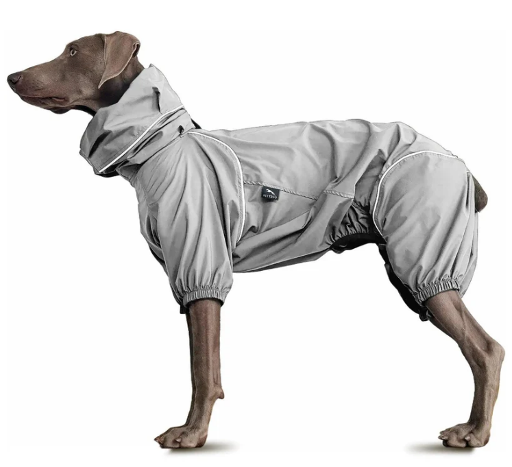 Lightweight Dog Windbreaker for Outdoor Adventures-Grey